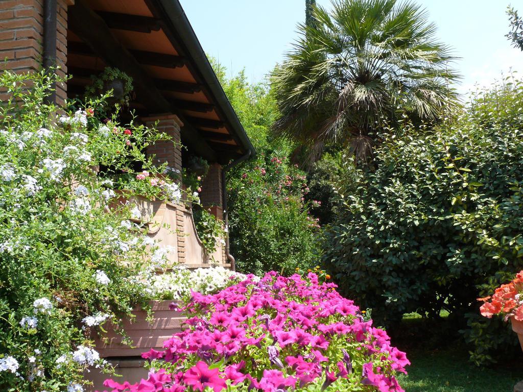 Agriturismo Da Lorena 마르실리아나 외부 사진
