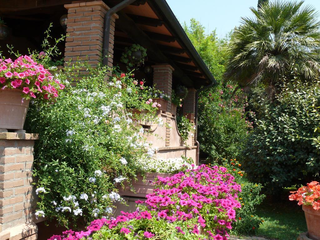 Agriturismo Da Lorena 마르실리아나 외부 사진
