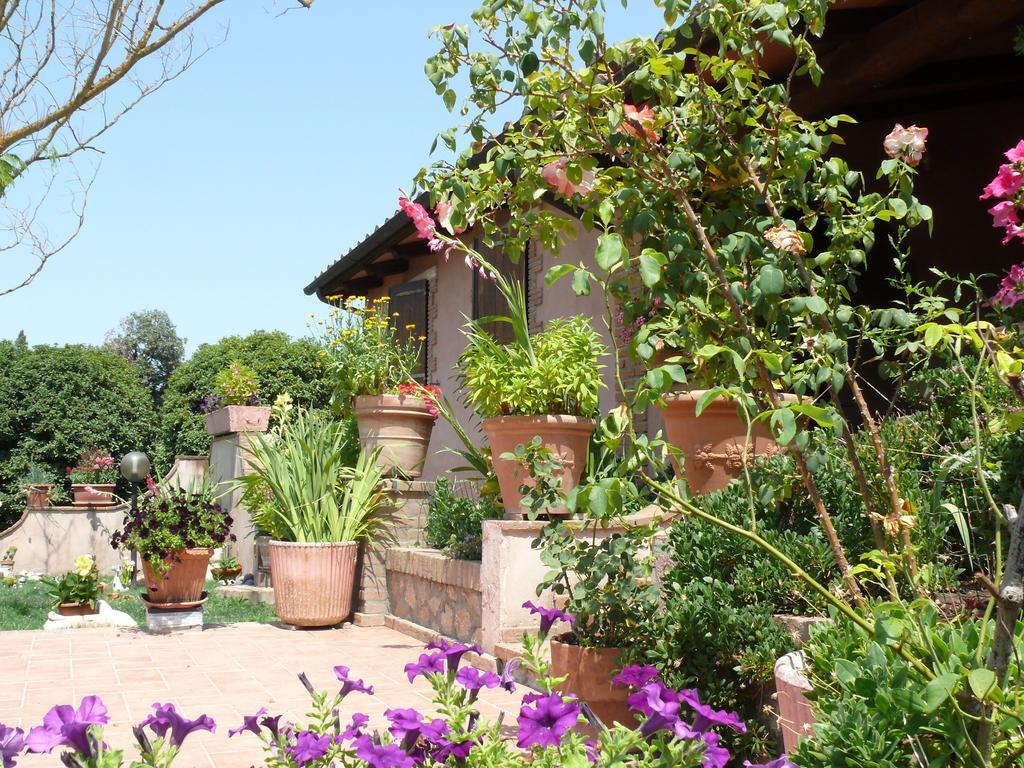 Agriturismo Da Lorena 마르실리아나 외부 사진